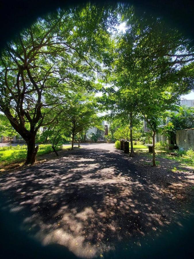 Destination A1 32 Villa Neral Ngoại thất bức ảnh